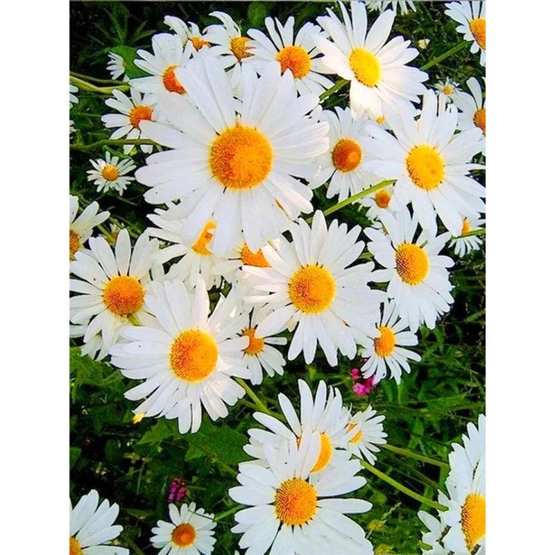 5d Full Diamond Painting Daisy Landscape Diamond Mosaic Embroidery Flowers Crafts Rhinestone Pictures Home Decor
