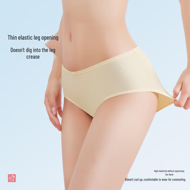 Regina Women's Pure Cotton Mid-Waist Briefs 4-Pack