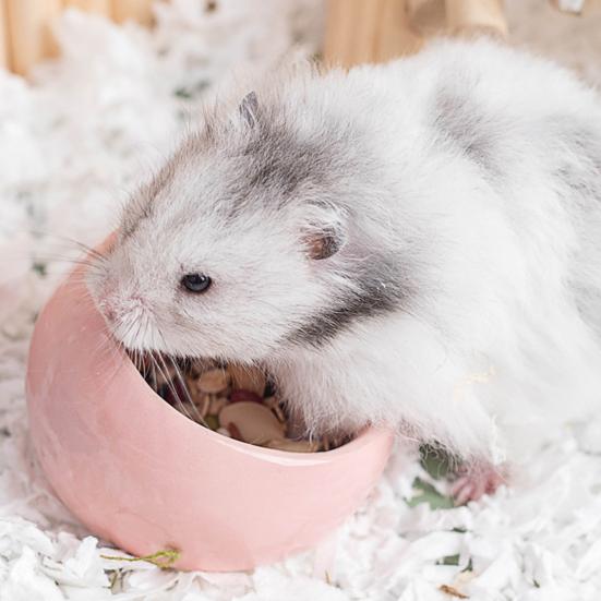 Ceramic Hamster Food Bowl Small Animals Feeding Drinking Bowl Non-tip Food Dish