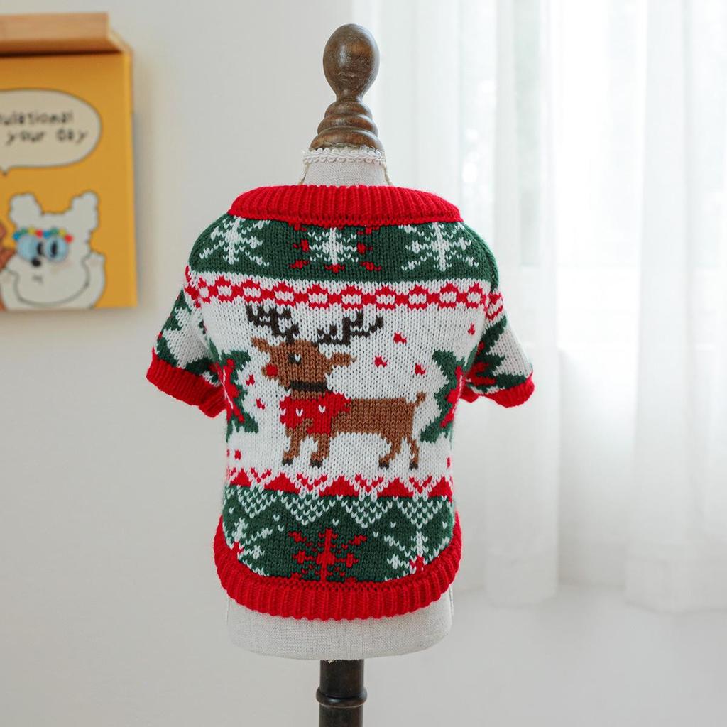 Cozy Autumn/Winter Floral Sweater for Pets