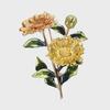 Lanhao Korean Fashion Cartoon Enamel Flower Brooch for Women's Clothing Accessories