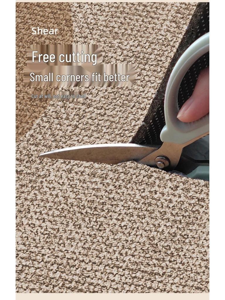 2025 Advanced Non-Slip French Entrance Doormat - Dirt-Resistant, Wash-Free Foyer Carpet