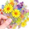 50 Watercolor Flowers Plants Transparent Pet Stickers Mori Wildflowers Daisies Ambience Pull Full Non-Repeating Stickers