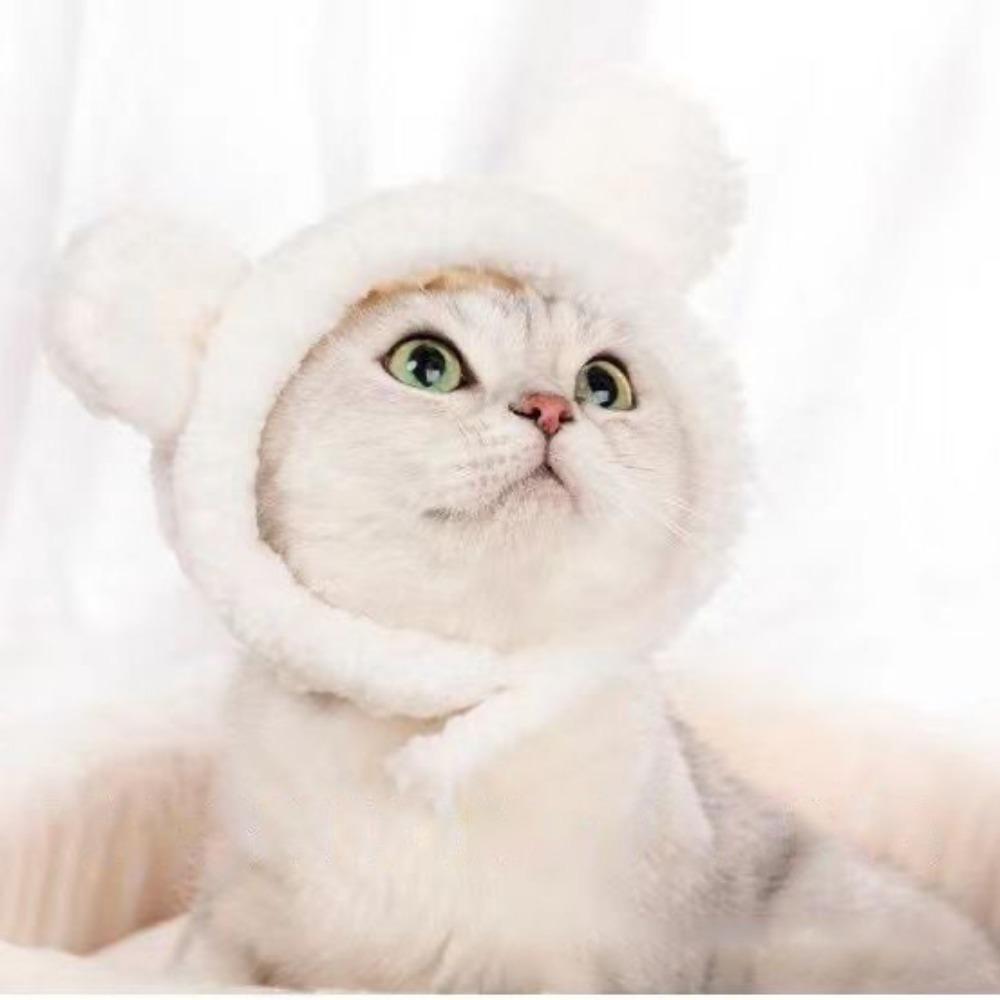 Domácí mazlíček plyšová kapuce prasátko kočka kočičí klobouk roztomilá kočka malý pes móda pro domácí mazlíčky všestranný klobouk roztomilý mazlíček