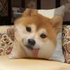 Shiba Inu Cute Pillow Case Pillowcase, Double-sided Printed, Sofa Cushion, Bedroom Headboard Pillow