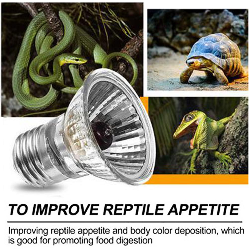 Beauty Decor UVB Amphibians Reptiles Bulbs Snake Light UVA Bird Emitter Warming Heating Lamp