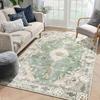 Green Boho Area Rugs for Bedroom Washable Rugs Abstract Soft Persia Carpet for Living Room Laundry Room Kitchen Non Slip Carpet