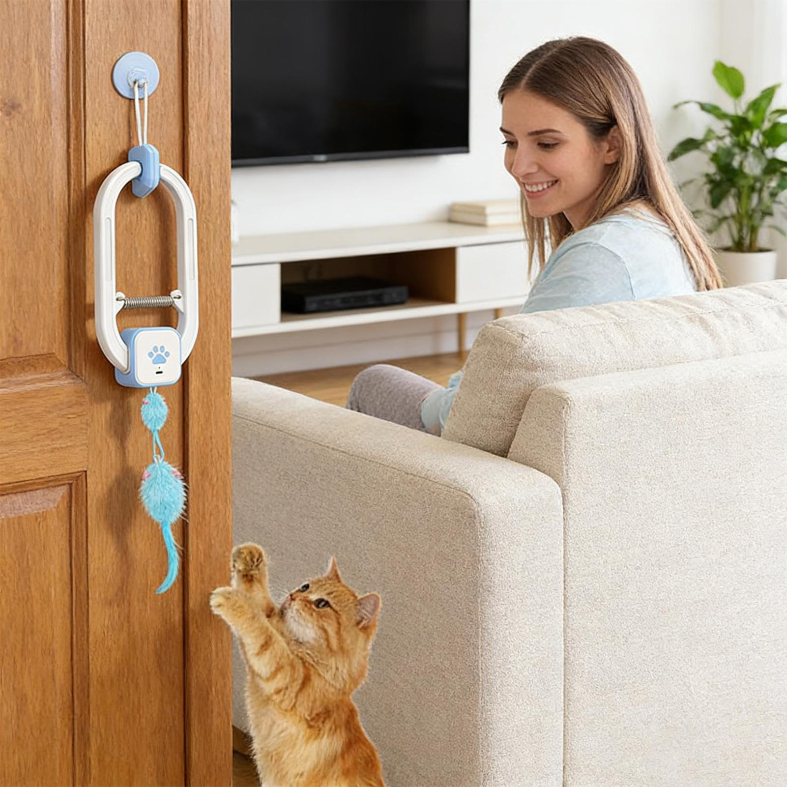 

Ceiling Cat Toy Remote Fake Mice Teaser Game Adjustable Modes Remote Interactive Stimulating Cat Toys For Mental Stimulation China Mainland