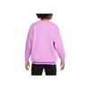 Nike Sportswear Club Fleece Solid Logo Embroidered Pullover Kids Tops Light-Purple FD2923532