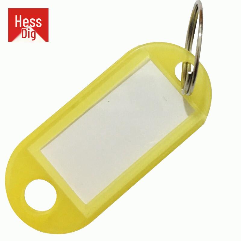 HESDIG JG-1578 Writable PP Key Tags 100 Pcs