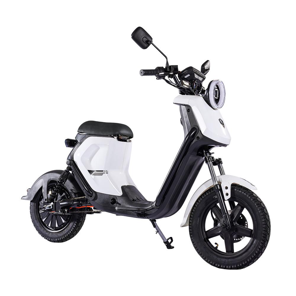 Bezior XIAONIU B Electric Scooter with 48V 20AH Battery and Remote Control