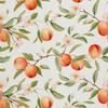 Outdoor Dekostoffe Oxford - Motiv Obst | Dx6334