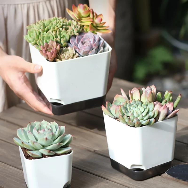 5 Stück Selbstbewässernder Blumentopf, Blumenpflanzgefäße, Moderne Blumentöpfe mit Wasserreservoir, Mini-Blumentöpfe Kräutergarten-Pflanzgefäß