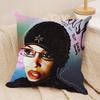 Singer DDoja CCat Cushion Cover Silky Short Plush DoubleSided Printed Pillow Case for Sofa All Seasons Home Decor Gift