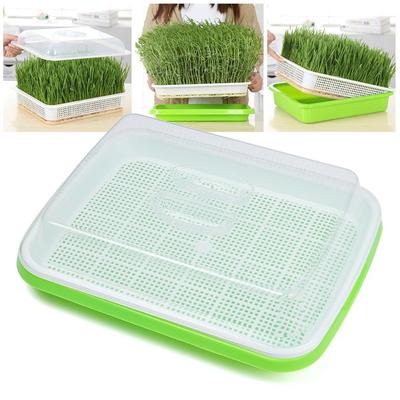 Supplies Hydroponic Tray Nursery Paper Sprout Pot Grow Nursery Pots Plant Box Seed Sprouter Tray