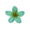 Hawaiian Style Gradient Flower Crab Hair Clips for Women Plumeria Barrettes Beach Vacation Hair Claw for Thin/Thick Hair Accessories