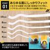 Hi-FIELD Heat Resistant Masking Tape for Curves, Made in Japan, 0.3 inches (8 mm)