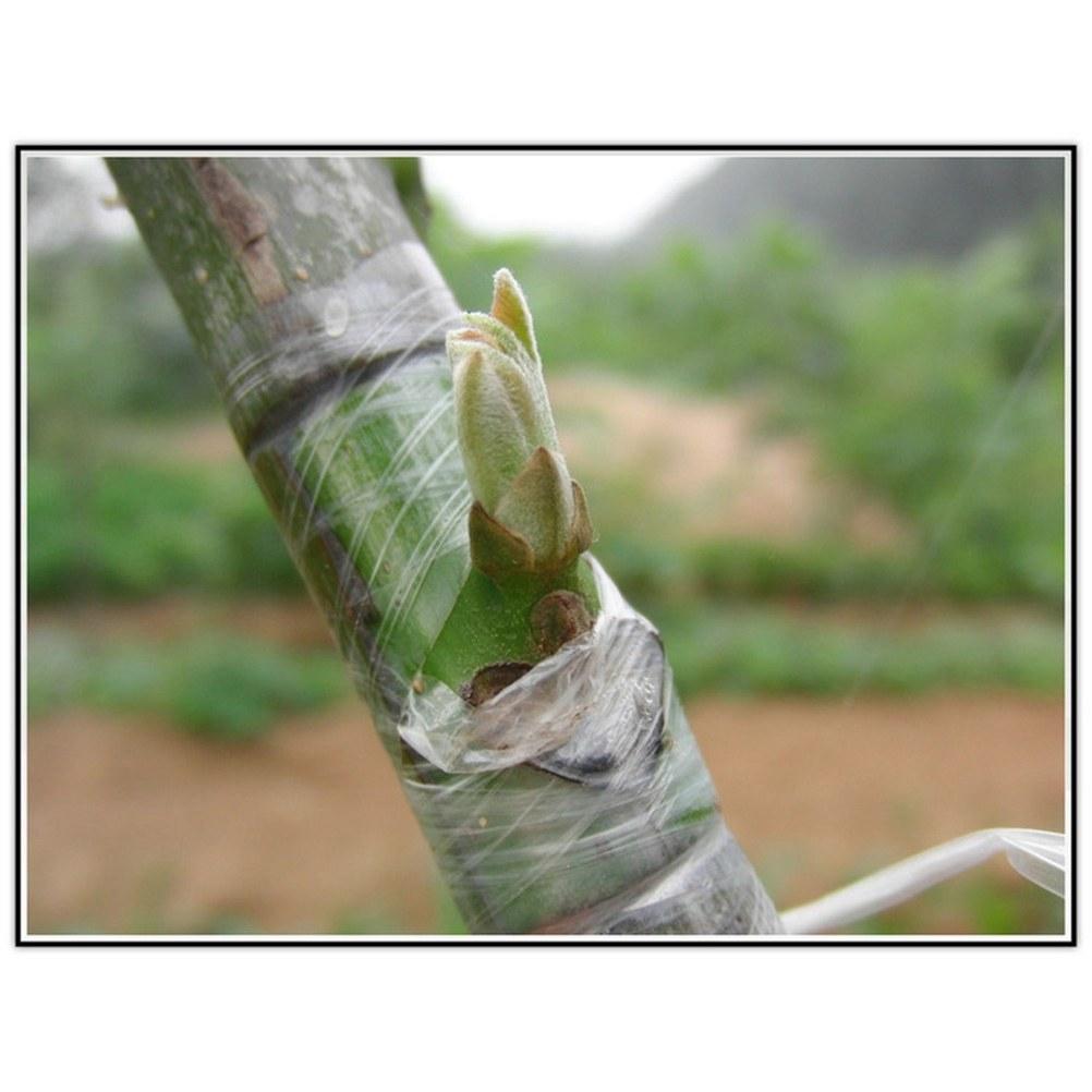 

Self-Adhesive Grafting Film Tape for Plants Pe Plastic Wrap Suitable Pecans Walnuts Citrus Avocado Seedling Survival Boost жовтий