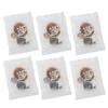 Kumquat Lemon Plum Tea Healthy Fruit Tea Bags for Morning Afternoon 6 Count In Total