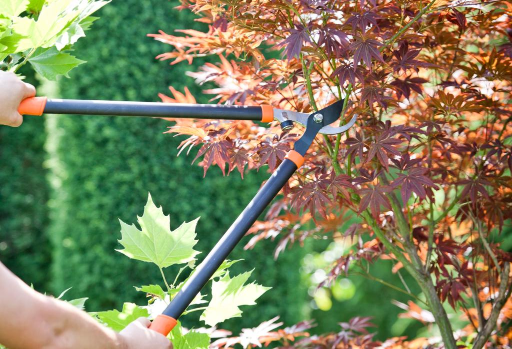 KADAX Pruner Scissors For Branches Hedge Garden 74cm Shrubs Manual Long