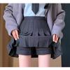 High-Waist A-Line Pleated Wool Skirt - Women's Autumn/Winter, Slim Fit, Plus Size, Korean Style, Short/Midi Length.