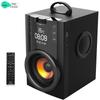 Soaiy SA-Q36 Portable Outdoor Karaoke Speaker