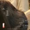 Hair Recipe Rose Moisturizing Repair Shampoo