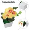 Versatile Potted Floral Arrangements Synthetic Orchid Phalaenopsis Flowers Low Maintenance Synthetic Materials