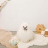 Ring Donut Toy Dog Squeaky Chew Toy Plush for Small Dogs monchéri (Green/FREE) Toy, Squeaky,