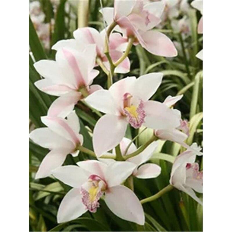 New 5D DIY Animal Diamond Painting Flower Diamond Embroidery Scenery Cross Stitch Crafts Full Round Drill Home Decor Gift