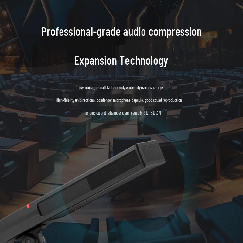 Runpu Professional Wireless Conference Microphone System (CN version)