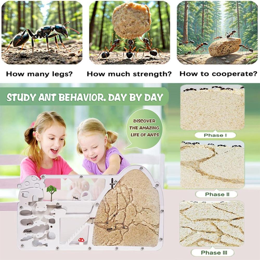 New Large Viewing Area Ant Farm Castle Ant Farms Plastics Sand Habitat Educational Science Gifts Ant Colony Observation Kits