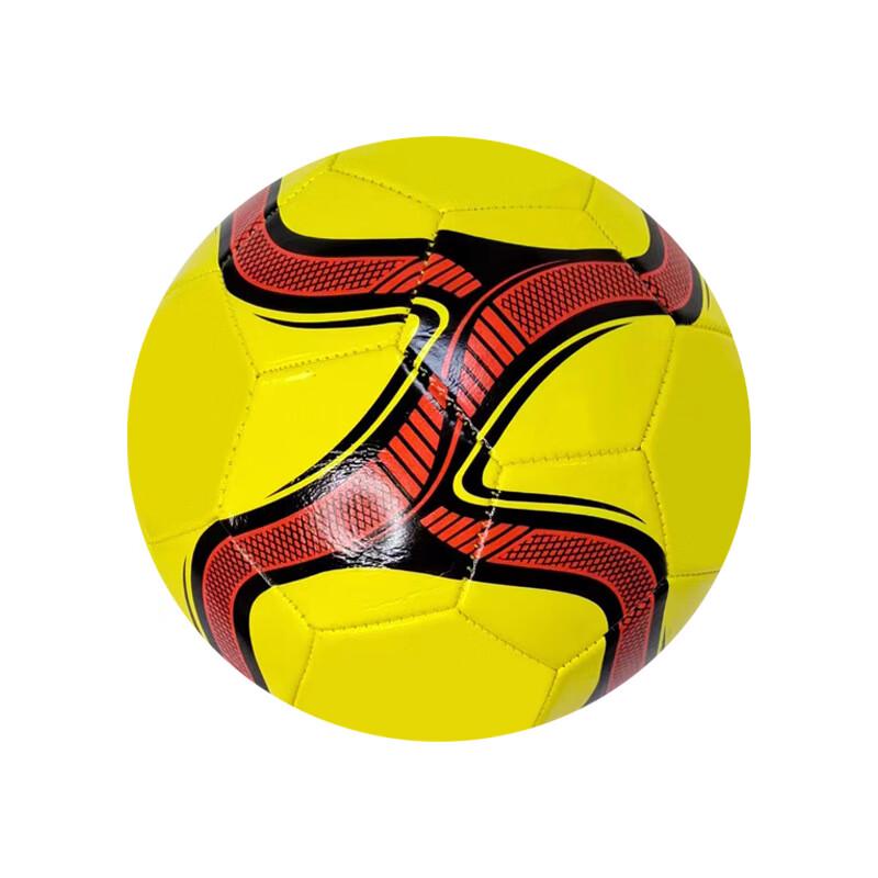 SHXI Training Football - Size 5 (2-Pack)