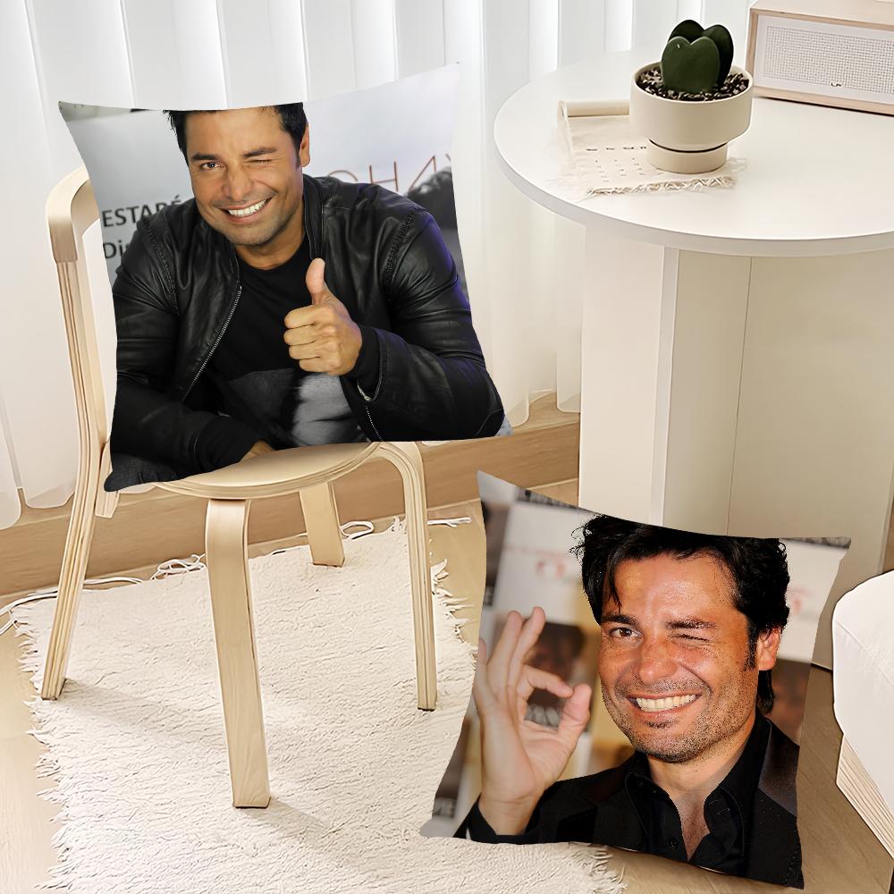 Singer C-Chayanne P-Puerto cushion cover Living Room Accent Couch Back Support Square Lounge Restful Nap Companion Pillow Case