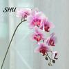 Simulation Artificial Flower No Fade Not Wither Vivid Realistic Exquisite Decorate Fabric 9-Heads Butterfly Orchid for Gift Fake