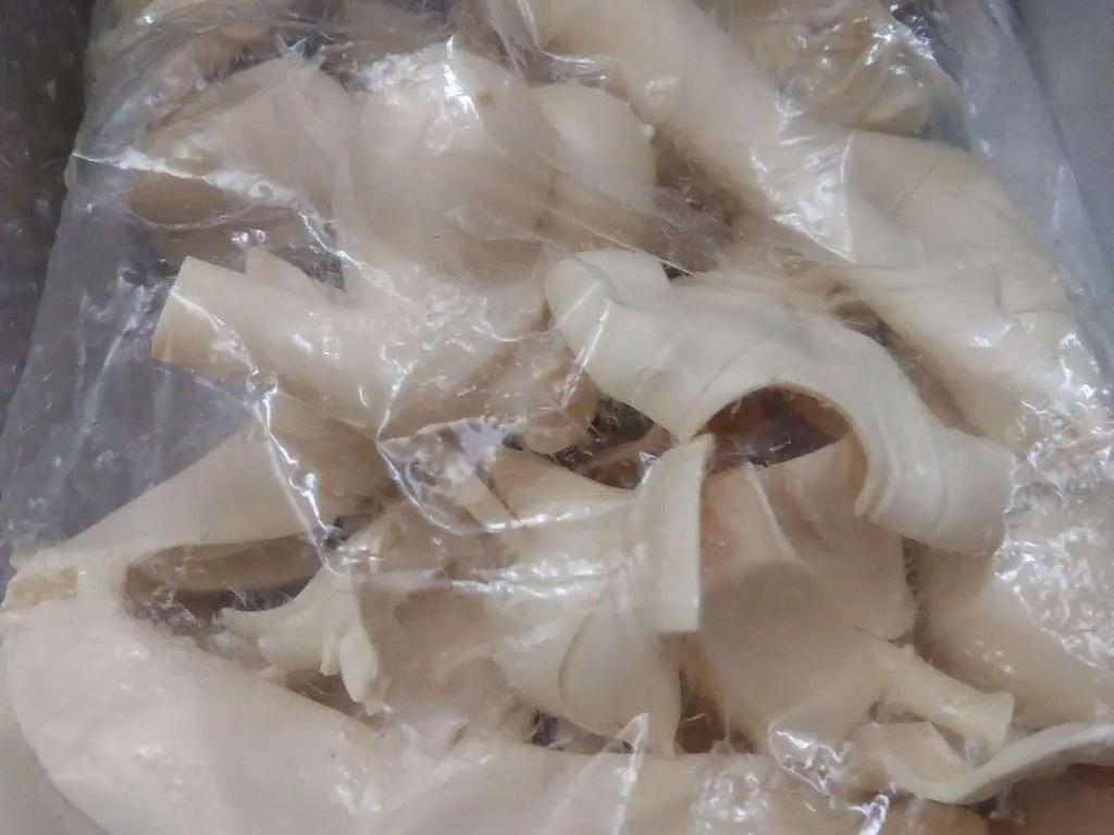 [USED] 1/5 Samurai Spirits Iroha Garage Kit Musashiya Figure