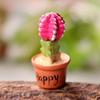 Bonsai Lifelike Eye-catching Miniature DIY Fairy Succulents Decorations for Garden