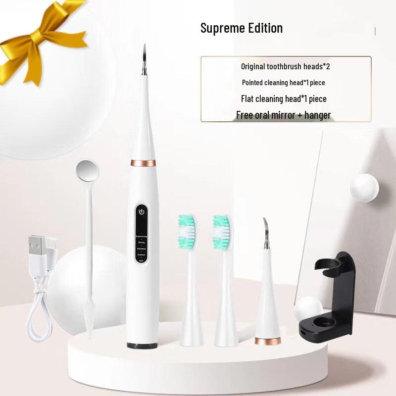 

DSK Ultrasonic Dental Scaler & Electric Toothbrush