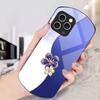 Lucky Four-leaf Clover For iPhone 16 15 14 13 Plus 12 Mini 11 Pro Max XR Xs X 7 8 6 6S Elliptical Tempered Glass Phone Case