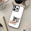Funny Cat Hamster Meme Phone Case For iPhone17,16,15,14,13,12,11 Plus,Pro Max, New Magnetic Wireless Charging
