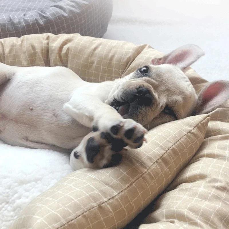OUZEY Round Pet Cat Bed Comfortable Sleeping Dog Bed Soft Warm Pet Sofa Bed Washable Puppy Kitten Cushion Blankets Pet Products