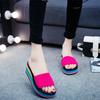 Women's Wedge-heeled Thick-soled Non-slip Beach Shoes