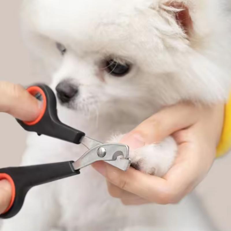 Professional Pet Nail Clippers For Cat Puppy Kitten Small Dog Cat Claw Nail Trimming Tool Cat Accessories Pet Grooming Supplies