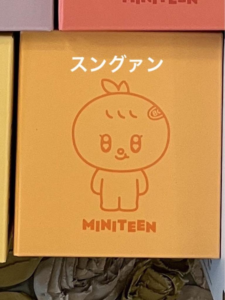 [USED] MINITEEN Pop-up Seventeen MINI MOOD LAMP