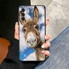 Funny Donkey Animal Soft Phone Case for Samsung A17 A37 A57 A16 A26 A36 A56 A15 A25 A35 A55 A14 A24 A34 A54 A13 A23 A33 A53 A52