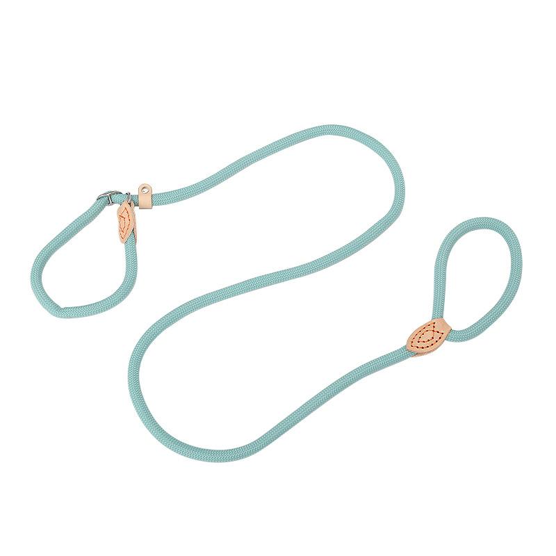 Dog Leash P Rope Dog Walking Rope Integrated Anti-break-free Medium and Large Dog Anti-explosion P Chain Dog Leash Dog Chain