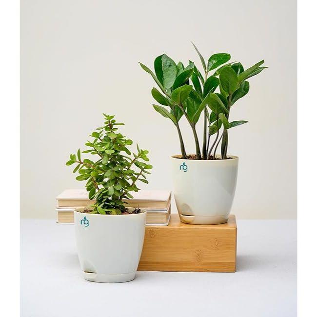 Combo of 8 Self Watering Flower Pots for Plants | Plastic Plant Pots | Planter Pots for Home, Room,Garden