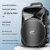 Soaiy Portable Outdoor Bluetooth Karaoke Trolley Speaker CN plug (adapter included) (CN version)