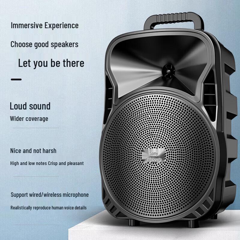 Soaiy Portable Outdoor Bluetooth Karaoke Trolley Speaker CN plug (adapter included) (CN version)