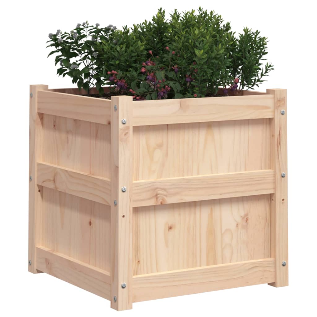 Plant Pot 50x50x50 Cm Solid Pine Wood